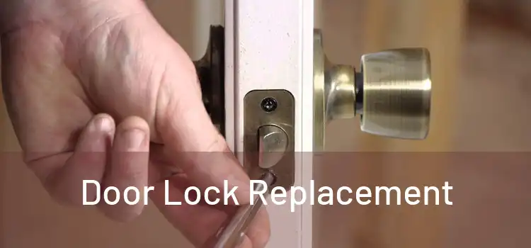  Door Lock Replacement 